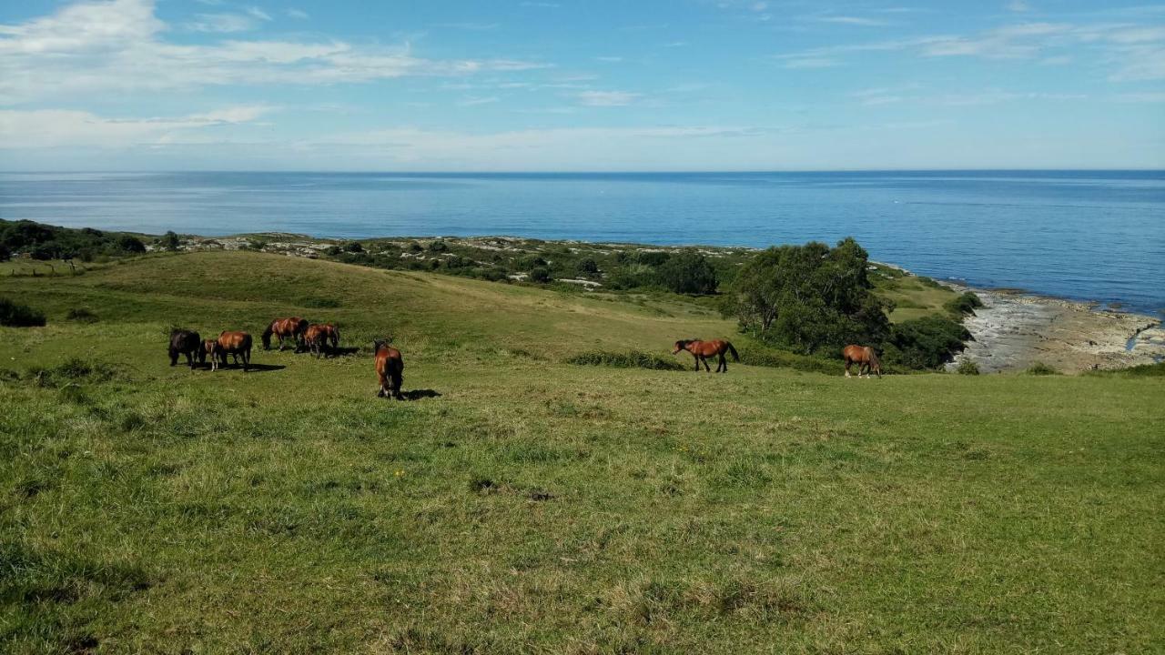 Posada Punta Linera Сан-Вісенте-де-ла-Баркера Екстер'єр фото